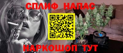 винт Новоалександровск