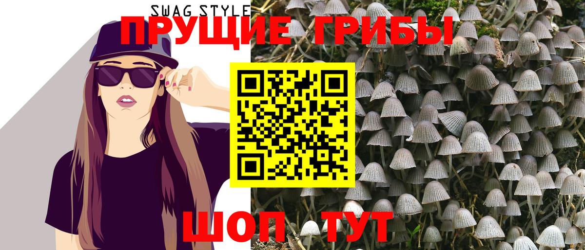 Псилоцибиновые грибы MAGIC MUSHROOMS  Торжок 