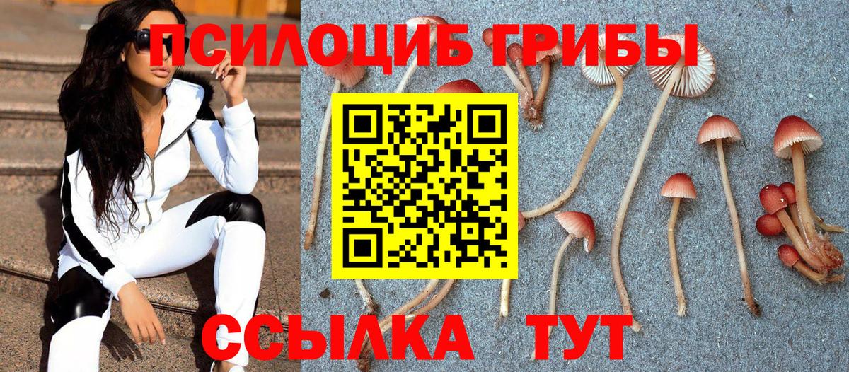 Галлюциногенные грибы GOLDEN TEACHER Торжок