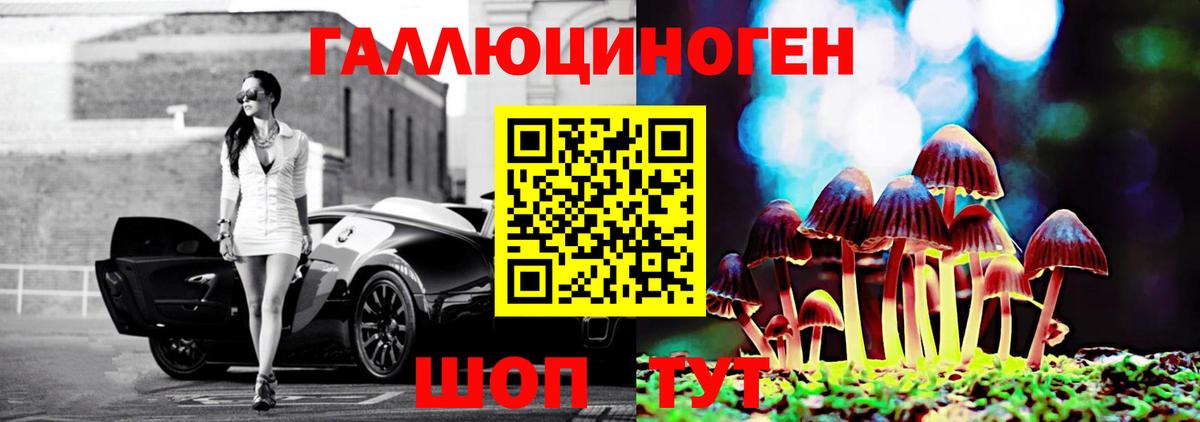 Псилоцибиновые грибы GOLDEN TEACHER  Вход с VPN  Галлюциногенные грибы мухоморы  Торжок 